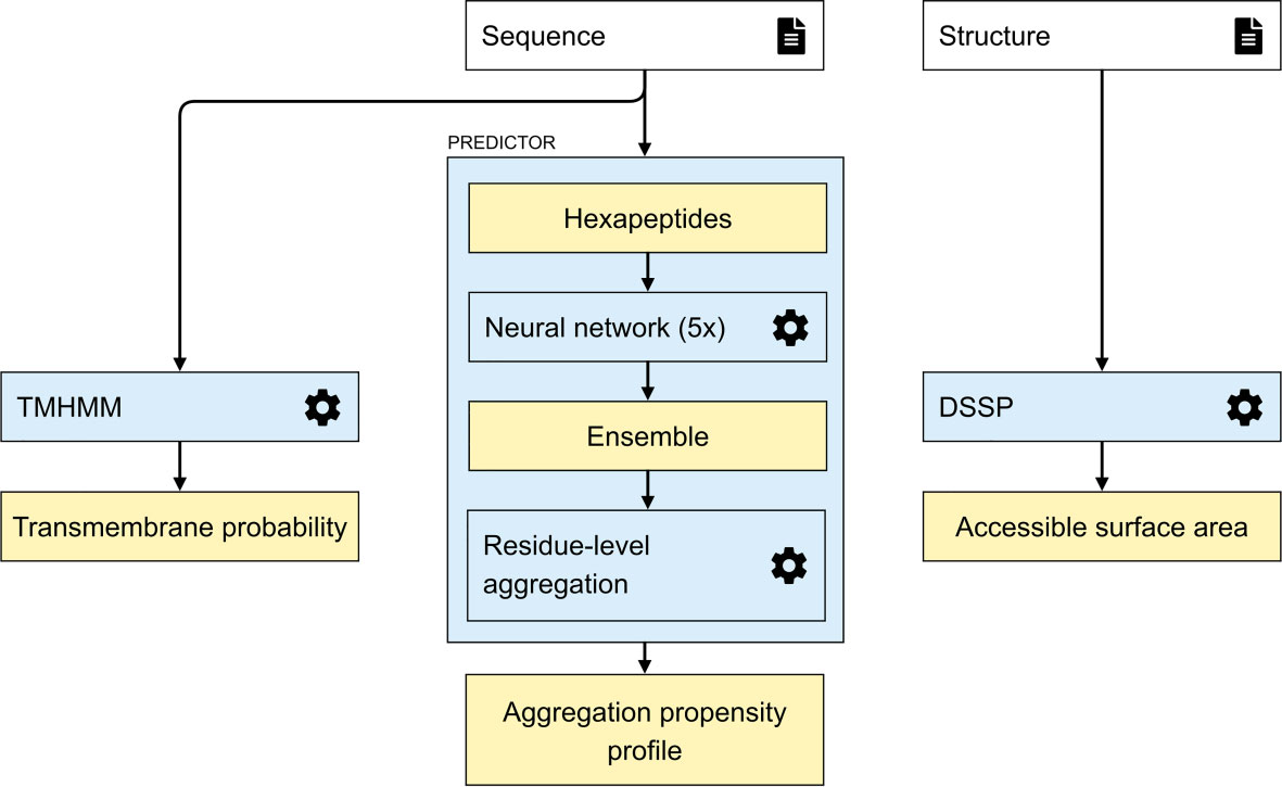 AggreProt: a web server for predicting and engineering aggregation pron eregions in proteins